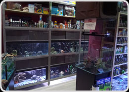 Reparto Acquariologia